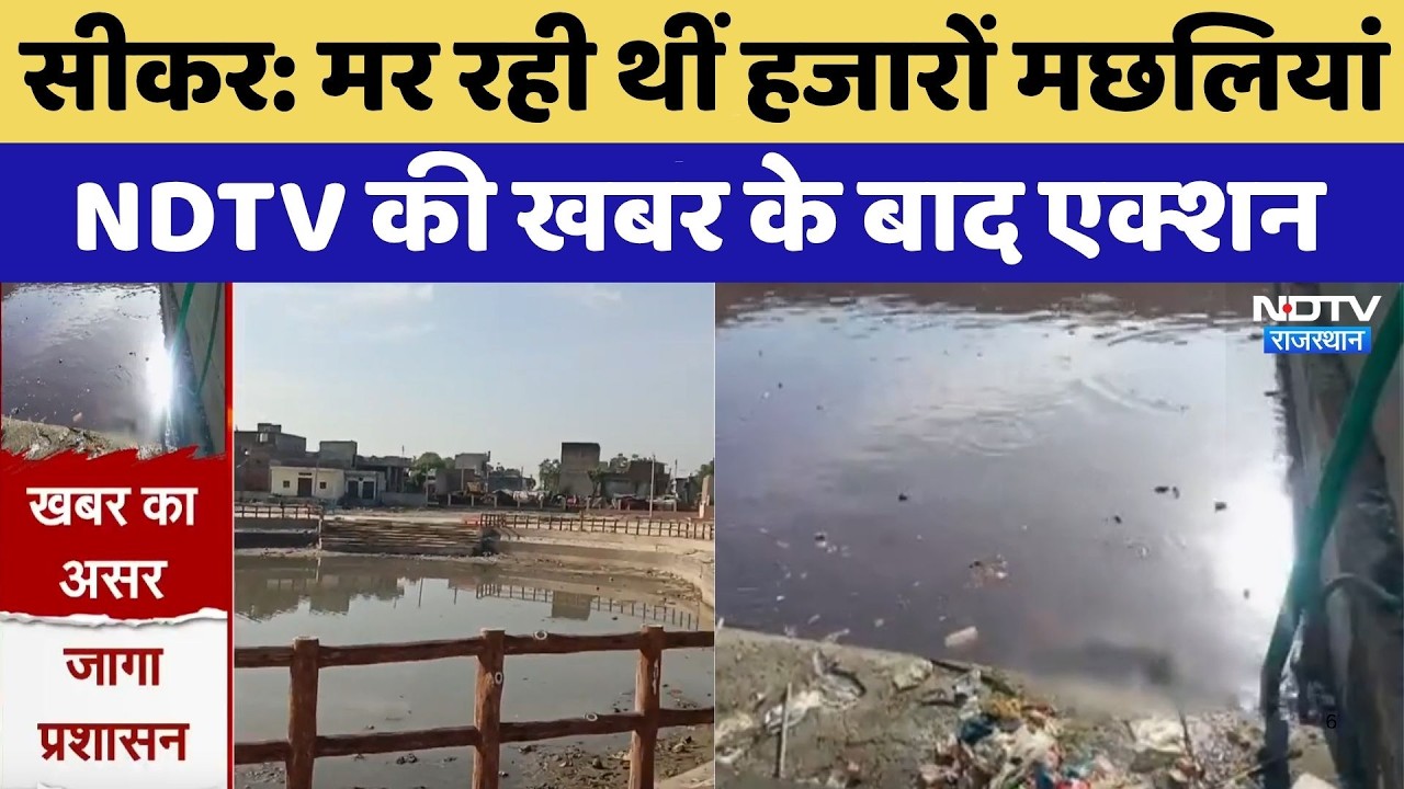Sikar: मर रही थीं हजारों मछलियां,  NDTV की खबर के बाद एक्शन | Top News | Fish Rescue