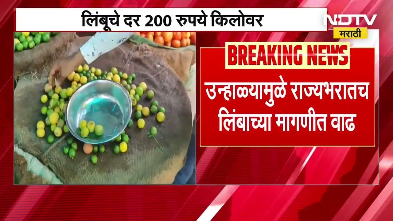 Lemon prices higher than petrol । पेट्रोल पेक्षा लिंबाचे दर जास्त, लिंबाला 200 रुपये प्रतिकिलो दर