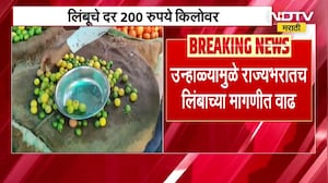 Lemon prices higher than petrol । पेट्रोल पेक्षा लिंबाचे दर जास्त, लिंबाला 200 रुपये प्रतिकिलो दर