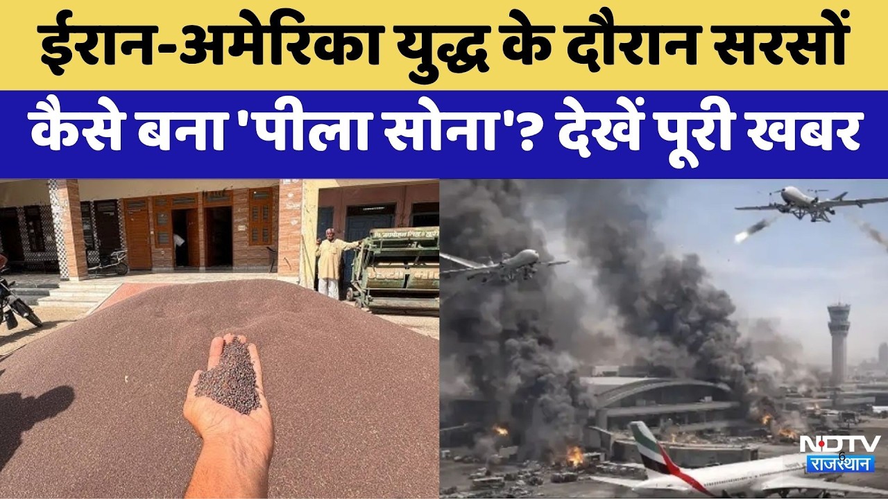 Iran-US war : Mustard  कैसे बन गया 'Yellow Gold' ? | Top News | Mustard Oil Prices | Bikaner Mandi