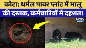 Kota Thermal Power Plant में फिर दिखा भालू, कर्मचारियों में दहशत! Rajasthan News | Bear Viral Video