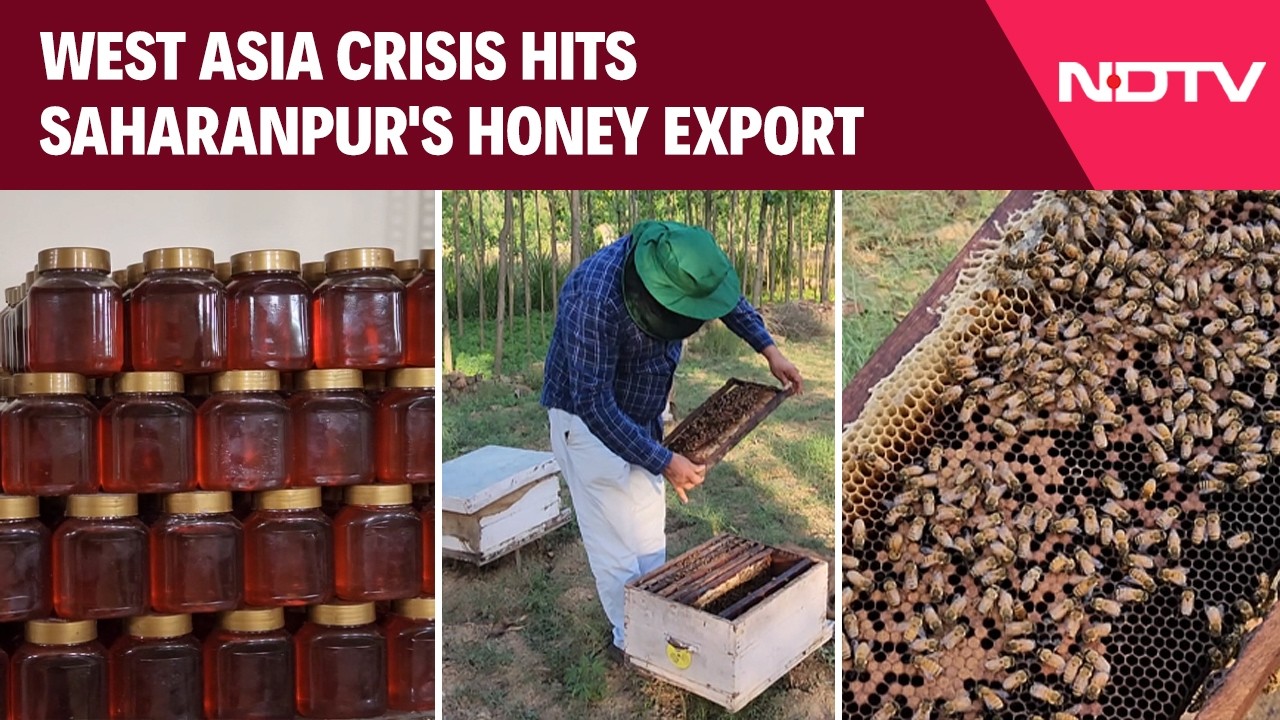 West Asia Crisis Hits Saharanpur's Honey Export, Stakeholders Seek Govt Help