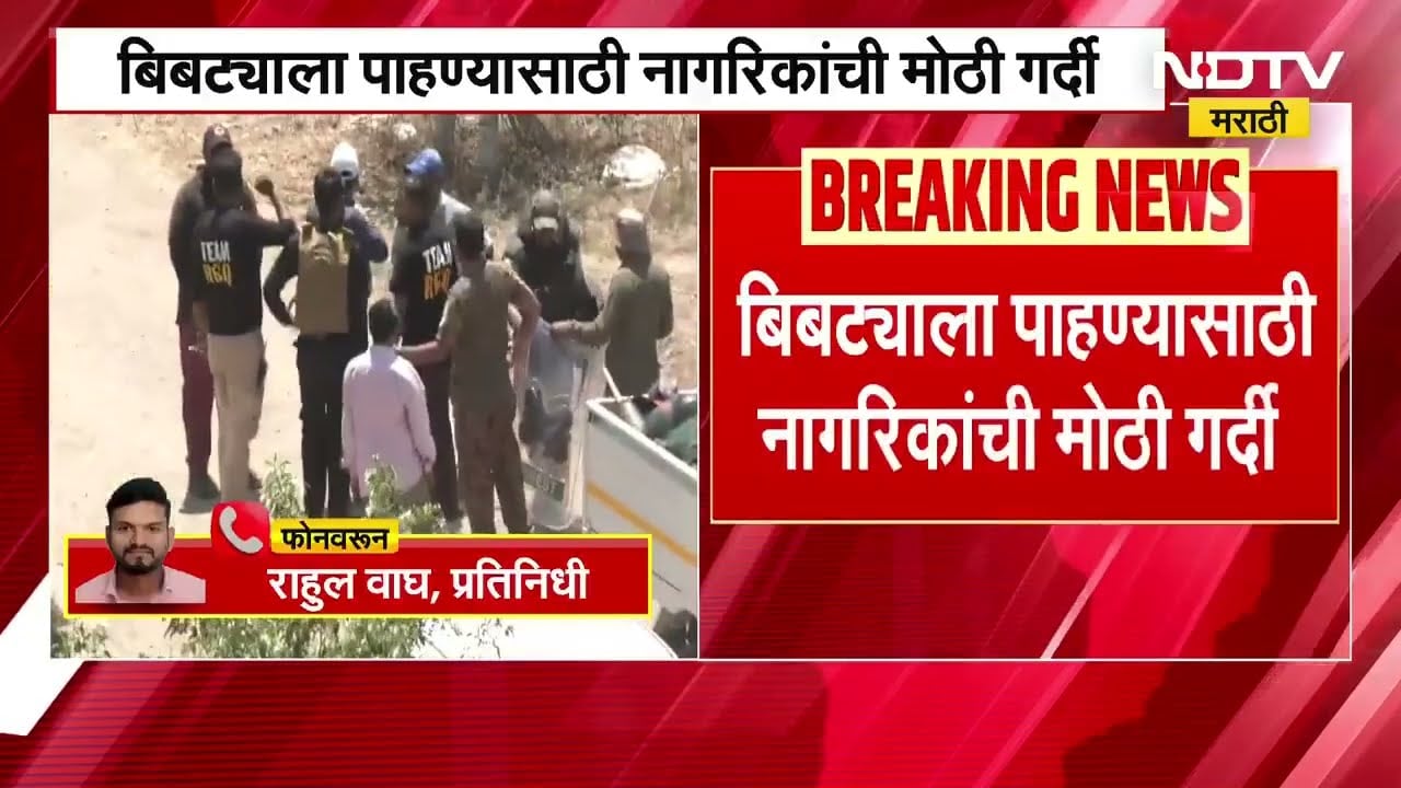 Nahik Leopard | नाशिकच्या ध्रुवनगरमध्ये बिबट्याचा वावर, बिबट्याला पाहायला नागरिकांची गर्दी । NDTV