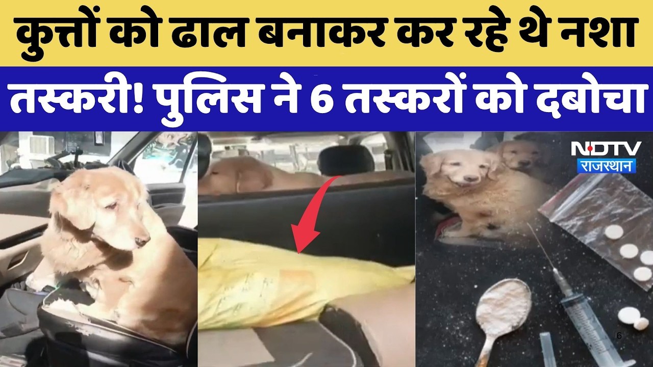 Operation Vajra Prahar: कुत्तों को ढाल बनाकर कर रहे थे नशा तस्करी! पुलिस ने दबोचा | Rajasthan Police
