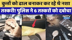 Operation Vajra Prahar: कुत्तों को ढाल बनाकर कर रहे थे नशा तस्करी! पुलिस ने दबोचा | Rajasthan Police