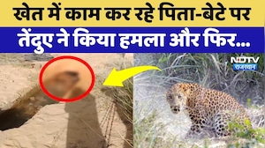 Leopard Attack in Bikaner: खेत में काम कर रहे पिता-बेटे पर तेंदुए ने किया हमला, देखिए क्या हुआ?