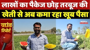 Agar Malwa Farmer Success Story: ये किसान लाल‑पीले तरबूज की स्मार्ट खेती से कर रहा बंपर कमाई | MP