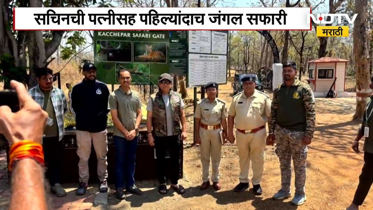 भारतरत्न Sachin Tendulkar पत्नीसह ताडोबाच्या जंगल सफारीवर | NDTV मराठी