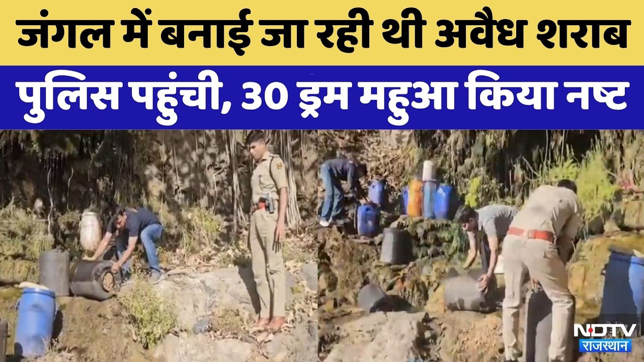 Udaipur के जंगलों में बनाई जा रही थी Illicit Liquor, Police ने लिया बड़ा एक्शन | Rajasthan Top News