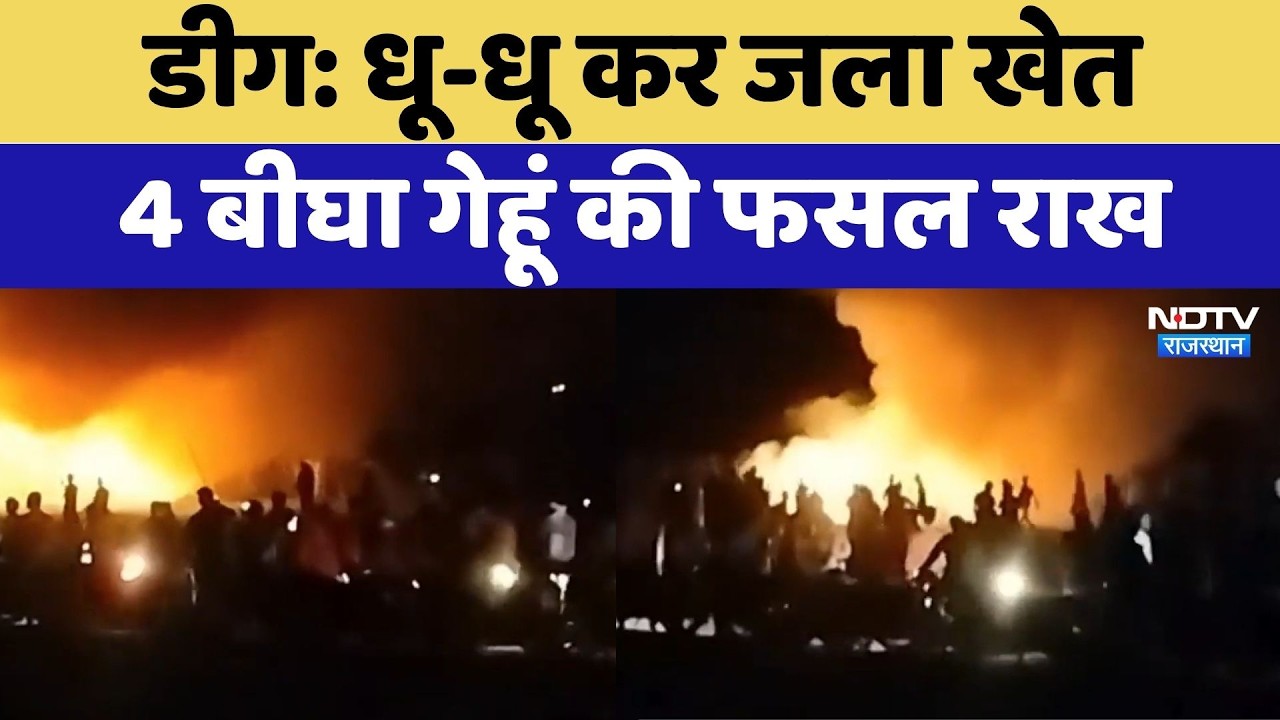 Deeg Fire: धू-धू कर जला खेत4 बीघा गेहूं की फसल राख | Top News | Breaking News