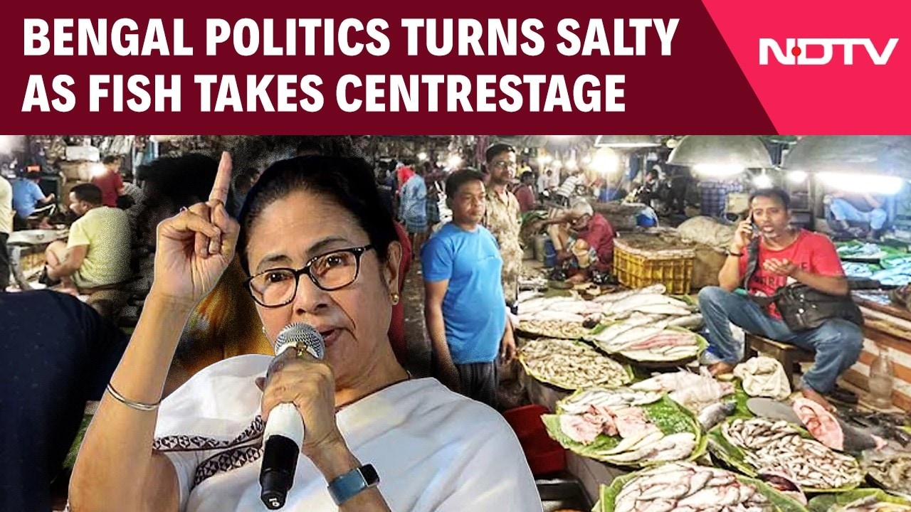 Bengal Politics Turns Salty As Fish Takes Centrestage In Trinamool-BJP Fight