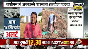 Unseasonal Rain in Washim | वाशीममध्ये अवकाळी पावसाचा हळदीला मोठा फटका