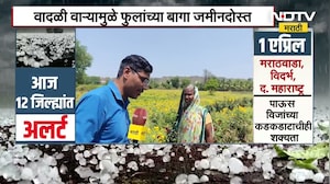 Jalgaon| फुलबागांना अवकाळी पावसाचा फटका, वादळी वाऱ्यामुळे फुलांच्या बागा जमीनदोस्त; Ground Report