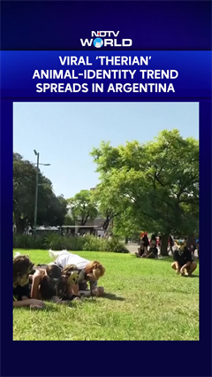 Viral &lsquo;Therian&rsquo; Animal-Identity Trend Spreads In Argentina