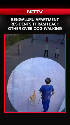 Bengaluru: Apartment Residents Thrash Each Other Over Dog Walking, Video Viral