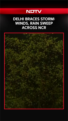 The Art of Baking: From Classic Bread to Artisan Pastries