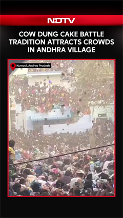 Cow Dung Cake Battle Tradition Attracts Crowds In Andhra Pradesh's Kurnool