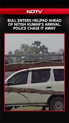 Viral Video | Bull Enters Helipad Ahead Of Nitish Kumar&rsquo;s Arrival, Police Chase It Away