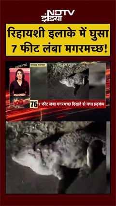 Viral Video: 7 फीट लंबा मगरमच्छ दिखने से मचा हड़कंप | Rajasthan