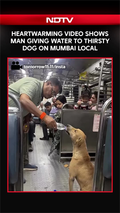Heartwarming Video Shows Man Giving Water To Thirsty Dog on Mumbai Local