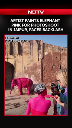 Foreign Artist Paints Elephant Pink For Photoshoot In Jaipur, Faces Outrage: "Deeply Upsetting"