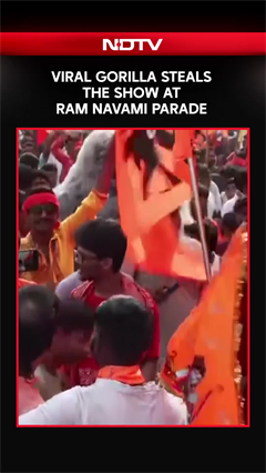 Viral Gorilla Steals The Show Amid Ram Navami Festivities In Malda