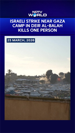 The Art of Baking: From Classic Bread to Artisan Pastries