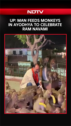 Uttar Pradesh | Man Feeds Monkeys In Ayodhya To Celebrate Ram Navami