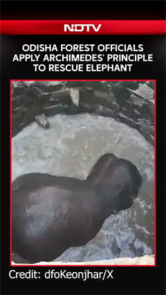 Odisha Forest Officials Apply A Archimedes' Principle To Rescue Elephant