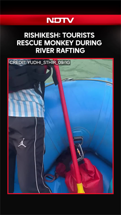 Tourists Rescue Monkey During River Rafting In Rishikesh, Win Praise Online