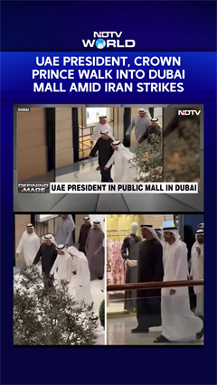 UAE President MBZ, Crown Prince Walk Into Dubai Mall Amid Iran Strikes