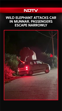On Camera: Wild Elephant Attacks Car In Munnar, Passengers Escape Narrowly