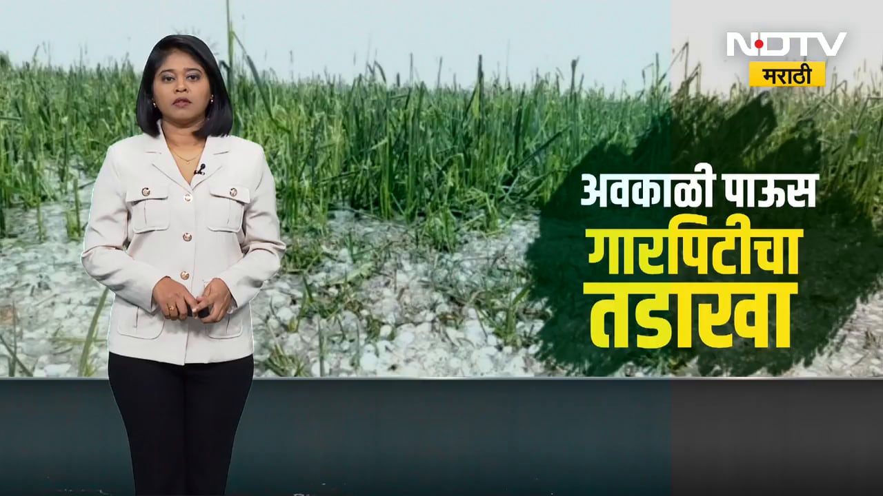 वादळी वारा आणि गारपीट, Gadchiroli मध्ये अवकाळी पावसामुळे शेतीचं नुकसान । NDTV Report
