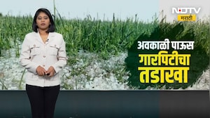 वादळी वारा आणि गारपीट, Gadchiroli मध्ये अवकाळी पावसामुळे शेतीचं नुकसान । NDTV Report