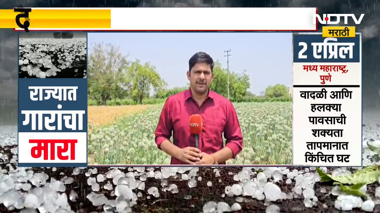 Chh.Sambhajinagar| पैठणमध्ये कांदा बी पूर्णपणे मातीमोल, उत्पादक शेतकरी संकटात; याचाच घेतलेला आढावा