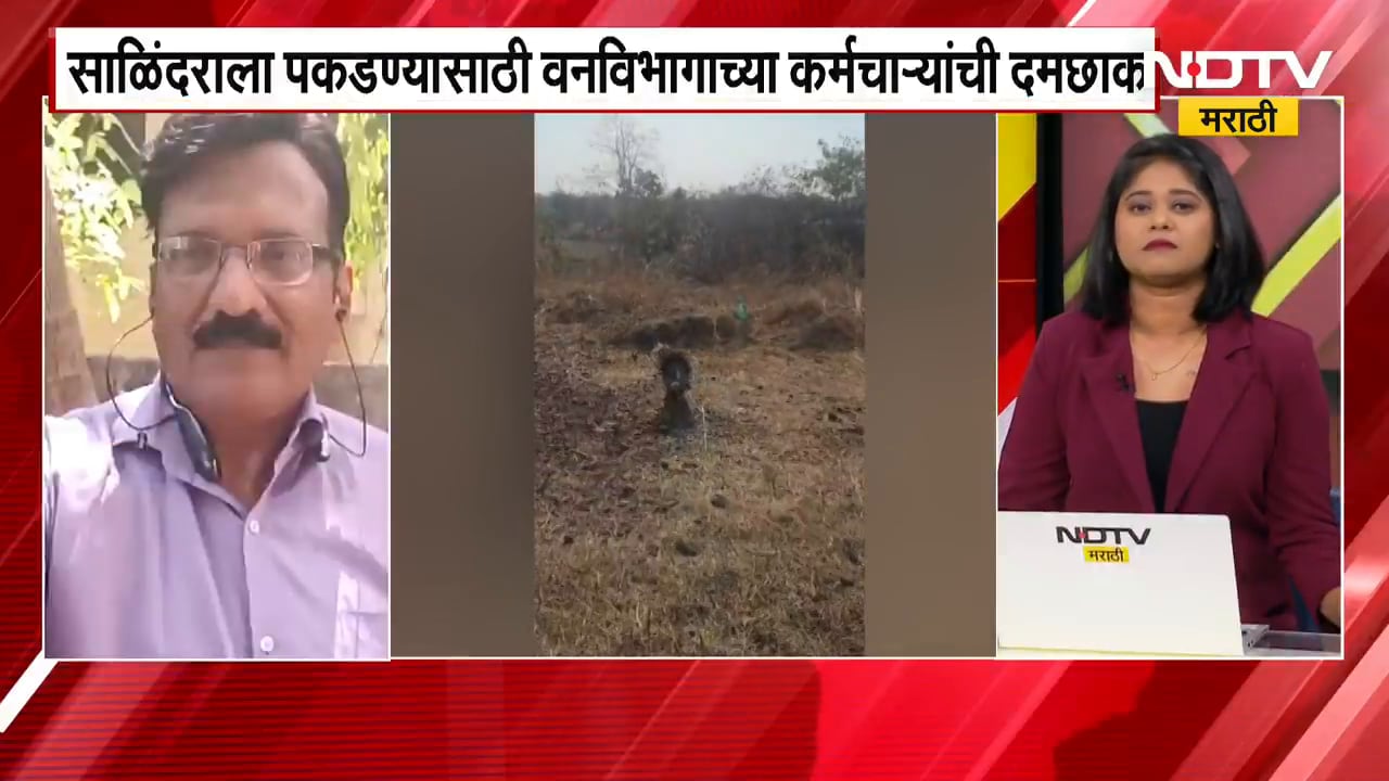 Nagpur मध्ये साळिंदर थेट मेट्रो ट्रॅकवर आले, साळिंदरला पकडण्यासाठी वनविभागाच्या कर्मचाऱ्यांची दमछाक