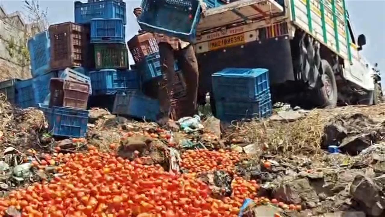 Offered Rs 4 Per Kg, Maharashtra Farmer Dumps 25 Quintals Of Tomatoes