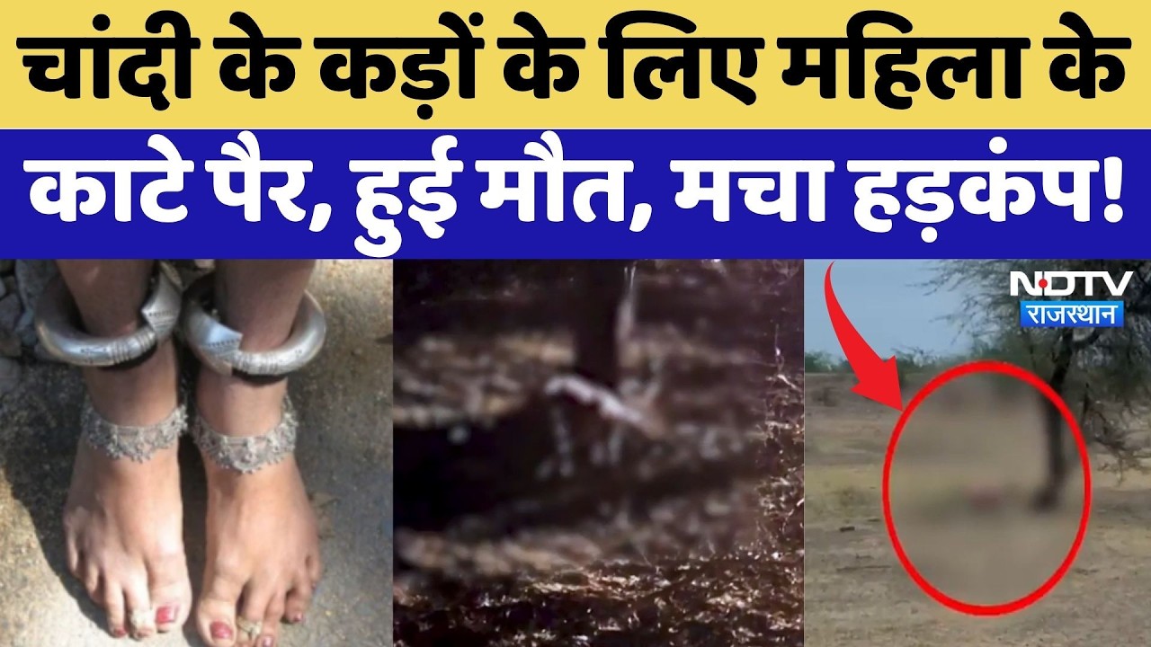 Pali Murder Case: चांदी के कड़ों के लिए महिला के काटे पैर, हुई मौत, मचा हड़कंप! | Crime News