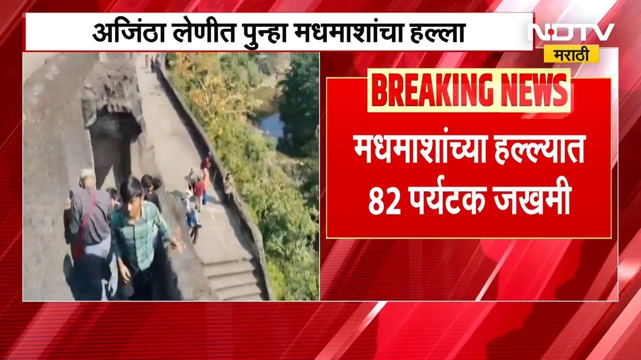 Bee attack on tourist | अजिंठा लेणी परिसरात मधमाशांचा पर्यटकांवर हल्ला | Ajanta Caves | NDTV