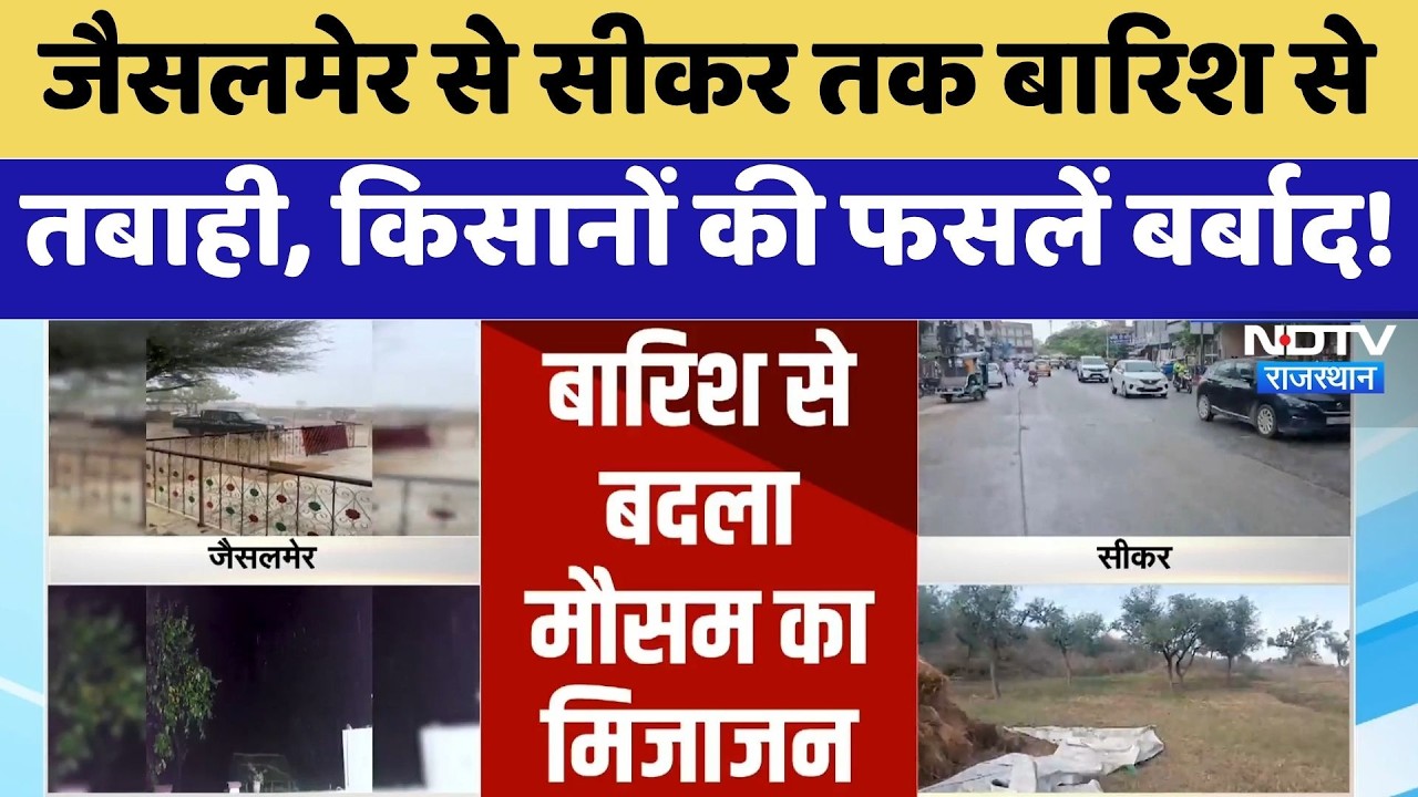 Rainfall Alert: Jaisalmer से Sikar  तक बारिश से तबाही, किसानों की फसलें बर्बाद! | Crop Damage