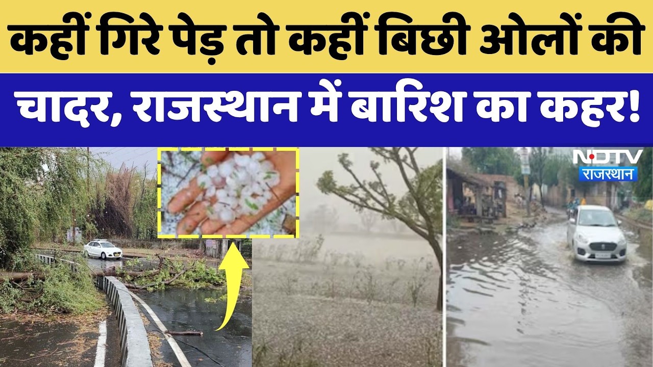 Heavy Rainfall: Jaipur से Rajsamand तक बारिश का कहर ! | Crop Damage | Top News