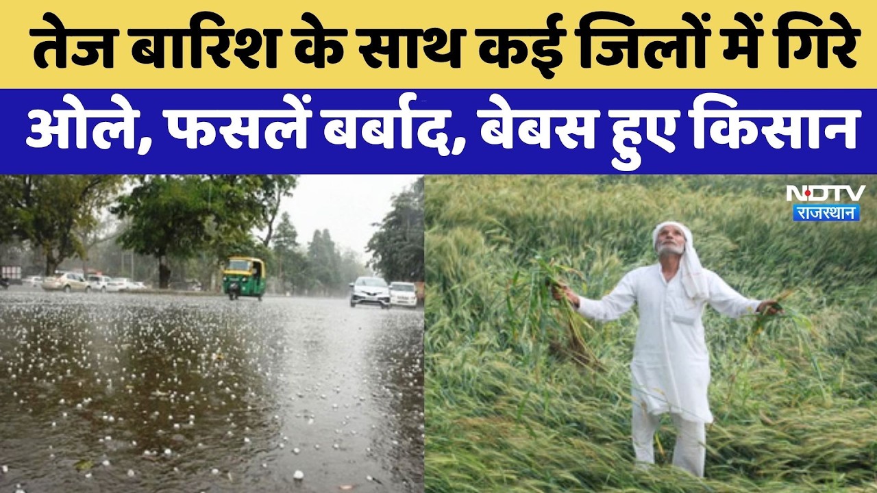 Rajasthan Weather Alert: आंधी-बारिश से मचा कोहराम, चिंता में डूबे Farmers! Top News | Latest News