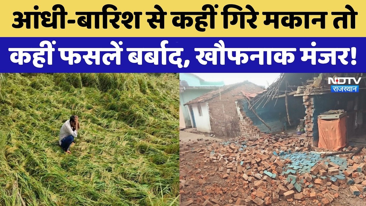 Rajasthan Weather Update: मौसम की मार, किसान लाचार, खौफनाक मंजर ! Rain Alert | Top News | Latest