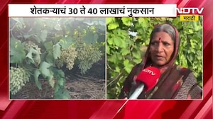 Dharashiv मध्ये वादळामुळे द्राक्ष बाग उध्वस्त, शेतकऱ्यांचं तब्बल 40 लाखांचं नुकसान । NDTV मराठी