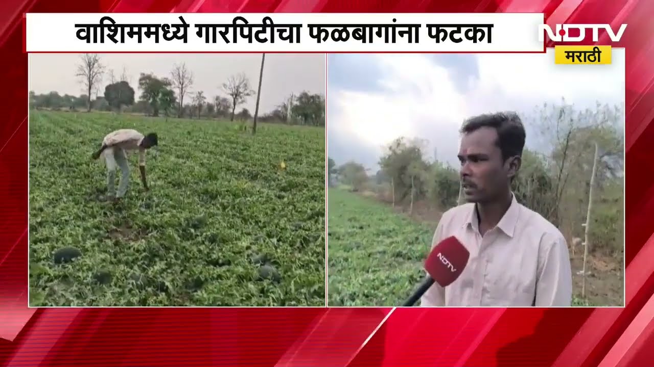 Unseasonal Rains | महाराष्ट्रात शेतकऱ्यांना अवकाळीचा तडाखा, पाहा राज्यातील काही स्पेशल रिपोर्ट्स