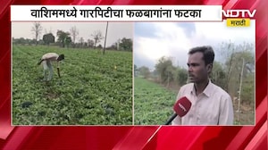 Unseasonal Rains | महाराष्ट्रात शेतकऱ्यांना अवकाळीचा तडाखा, पाहा राज्यातील काही स्पेशल रिपोर्ट्स