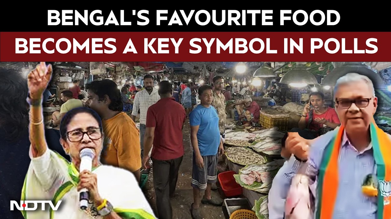 West Bengal Polls | Fish, Identity, Votes: Bengal's Favourite Food Becomes A Key Symbol In Polls