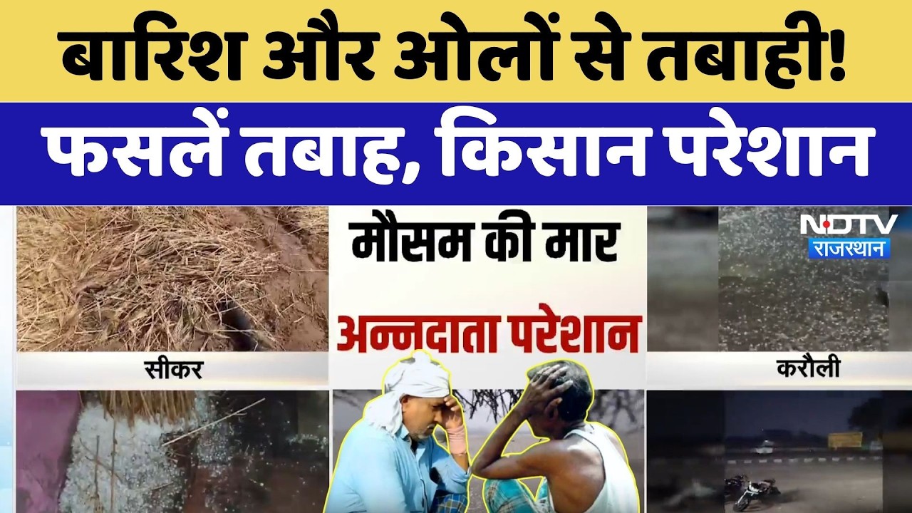 Heavy Rainfall: बारिश और ओलों से तबाही! फसलें तबाह, किसान परेशान | Crop Damage