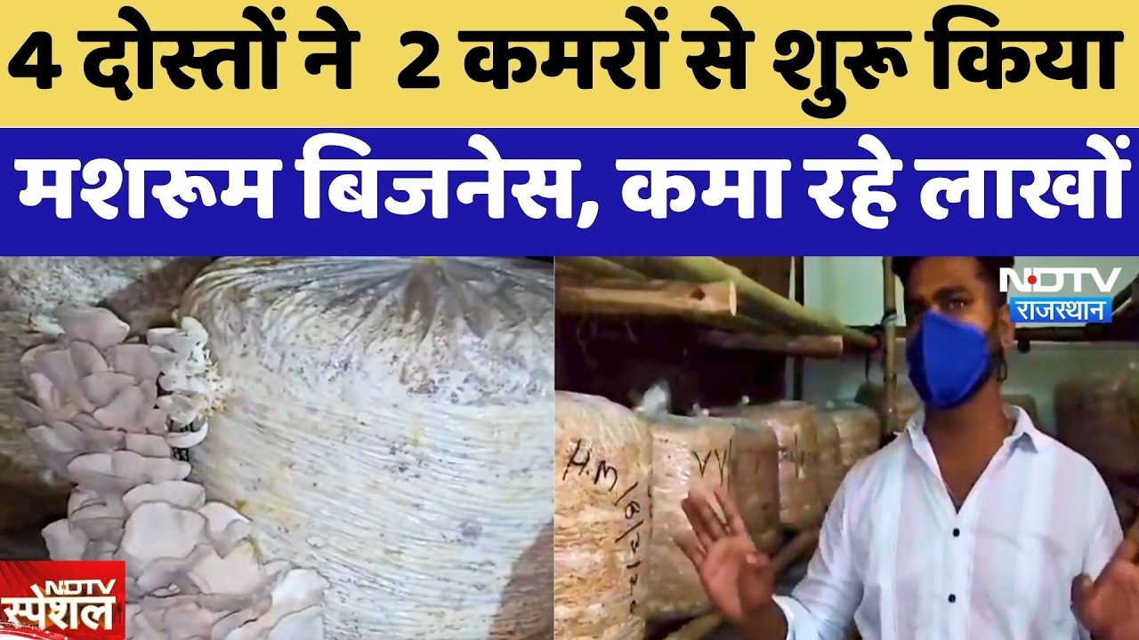 Bikaner: 4 दोस्तों ने  2 कमरों से शुरू किया Mushroom Business, कमा रहे लाखों | Latest News