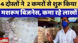 Bikaner: 4 दोस्तों ने  2 कमरों से शुरू किया Mushroom Business, कमा रहे लाखों | Latest News